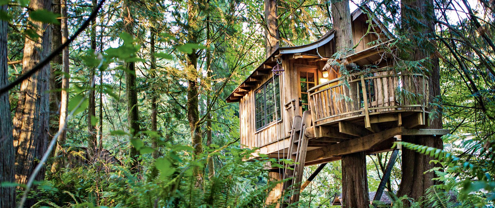 Treetop Dwellers: Living High Above the Ground